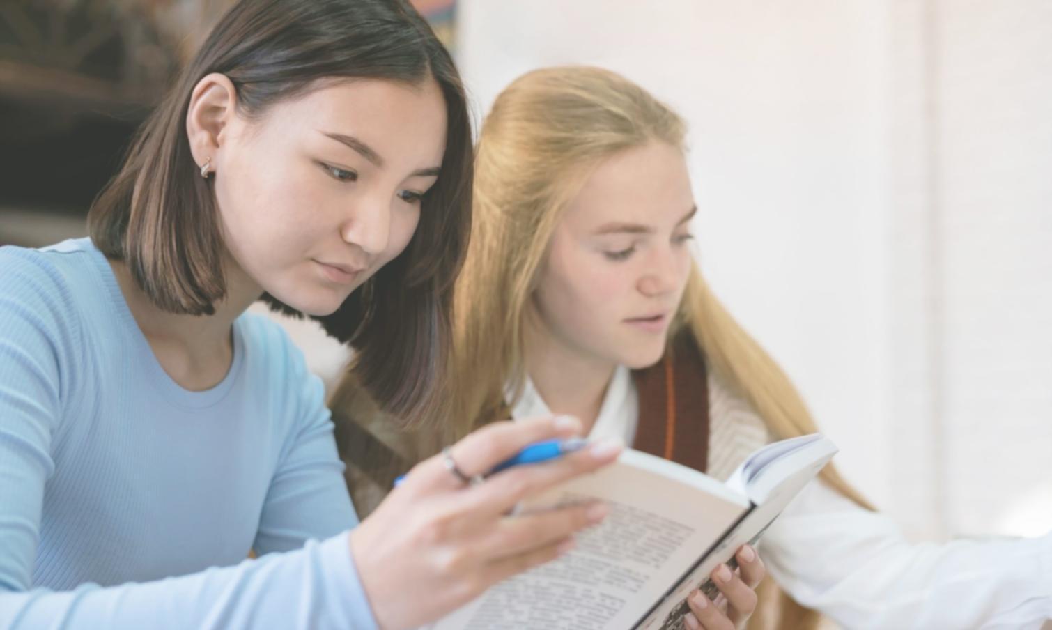 Kleine Arbeitsgruppe diskutiert Finanzstrategien vor Whiteboard